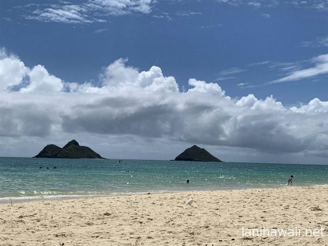 ぼっちラニカイビーチ Laniは荷物をどうしてるのか ハワイひとりたび旅行記lani レンタカーで2島を駆け抜けろ